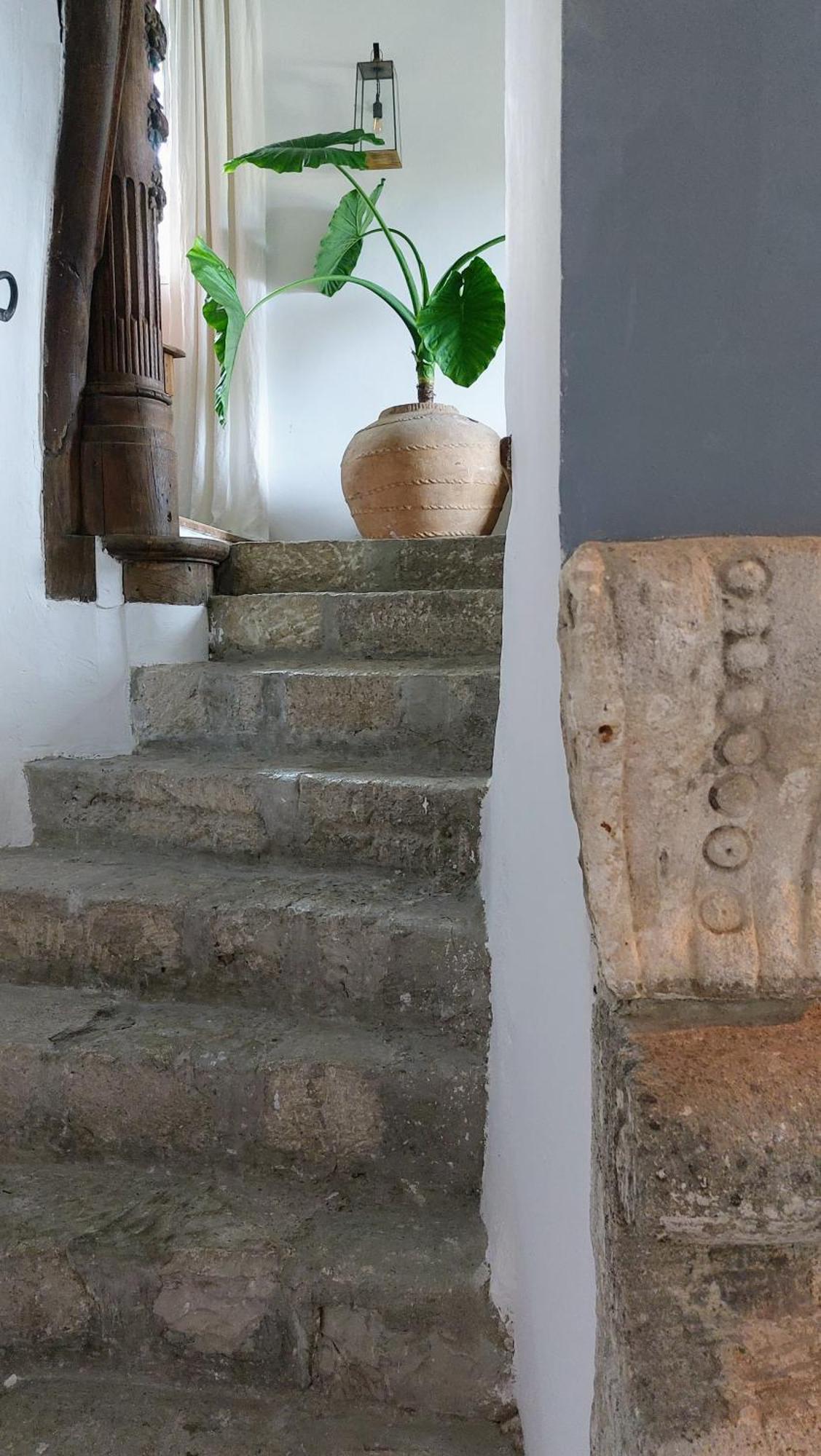 Le Murier Vaison-la-Romaine Extérieur photo